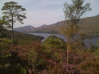 Loch Maree 1184076 Image 7