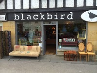 Blackbird 1189217 Image 0