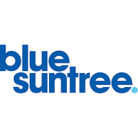 Blue Sun Tree 1184765 Image 3