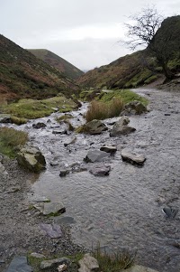 Carding Mill Valley and the Long Mynd 1189845 Image 5