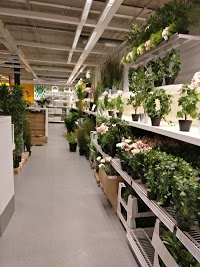 IKEA 1191313 Image 7
