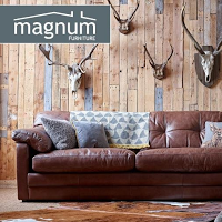 Magnum Furniture Store Ltd 1185991 Image 0