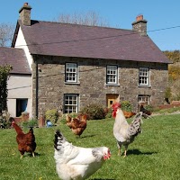 Nantgwynfaen Organic Farm Bed and Breakfast and Farm Shop West Wales 1193383 Image 5