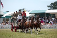 New Forest Show 1184886 Image 0