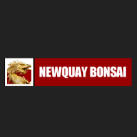 Newquay Bonsai 1180447 Image 1