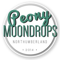 Peony Moondrops 1189646 Image 4