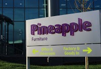 Pineapple Contracts 1189806 Image 4