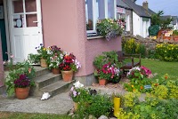 Seaview Bed and Breakfast, Isle of Mull 1180458 Image 8