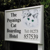 The Poynings Cat Boarding Hotel 1181633 Image 0